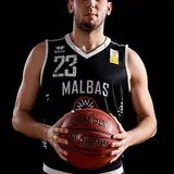 Aleksandar Živojin Danilović